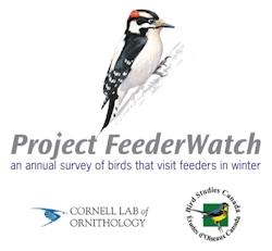 Project FeederWatch